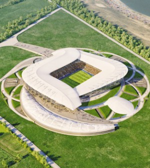 На инженерную подготовку участка строительства стадиона к ЧМ-2018 в Ростове выделено 493 млн рублей