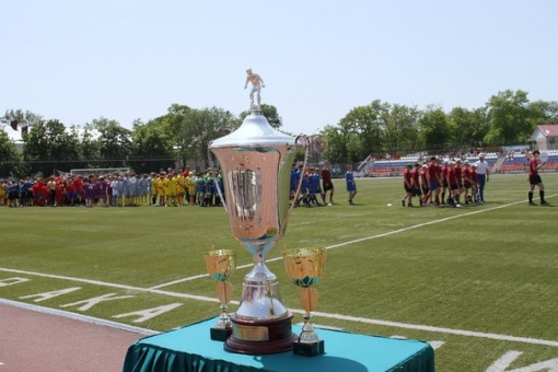 В финале областных соревнований по футболу «Колосок» сыграют сборные Семикаракорского и Морозовского  районов 