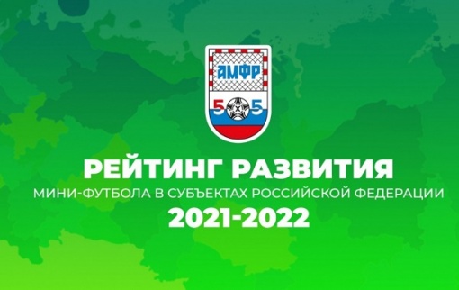 Развитие мини-футбола в регионе получило высокую оценку АМФР